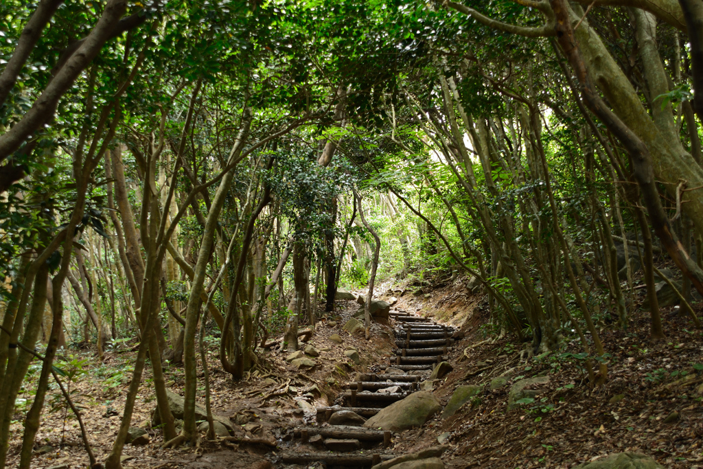 芥屋の大門公園①