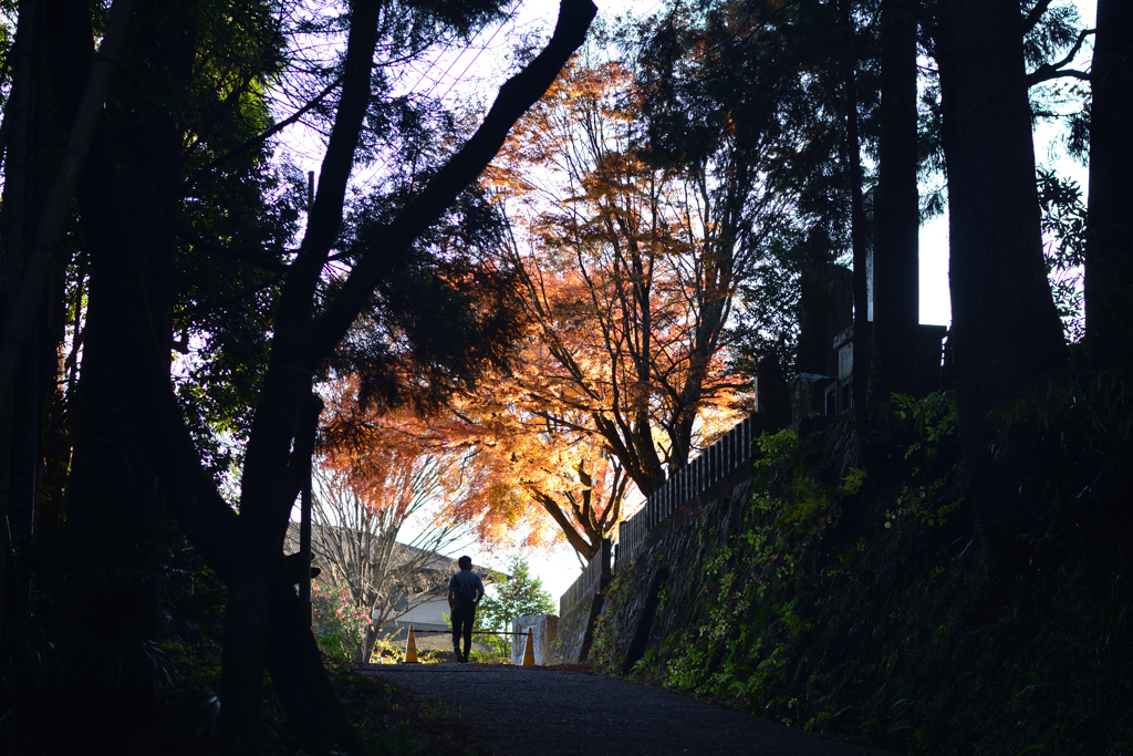 境内の紅葉