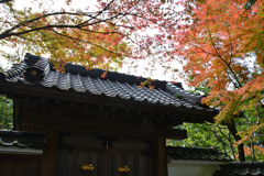 呑山観音寺 客殿①