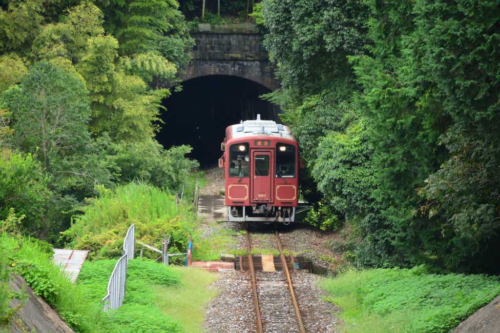 源じいの森駅①