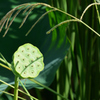 終演