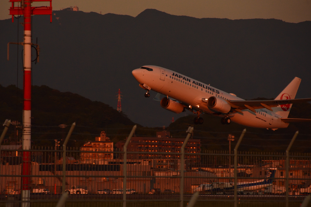 夕暮れのフライト②