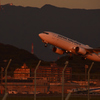 夕暮れのフライト②