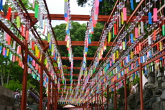 山王寺 風鈴②