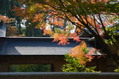 呑山観音寺 客殿②