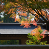 呑山観音寺 客殿②