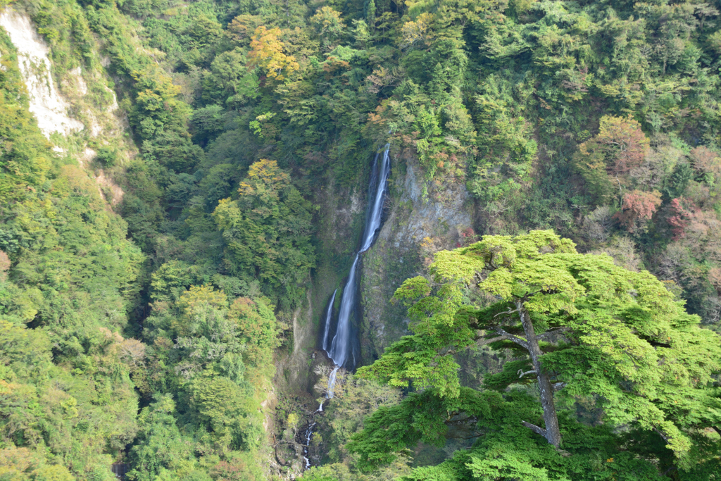 震動の滝 雌滝②