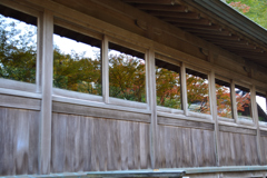 講堂に写る紅葉（呑山観音寺）