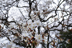 これからが本番