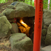 天開稲荷神社 奥の院