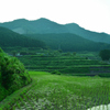 山と田んぼ
