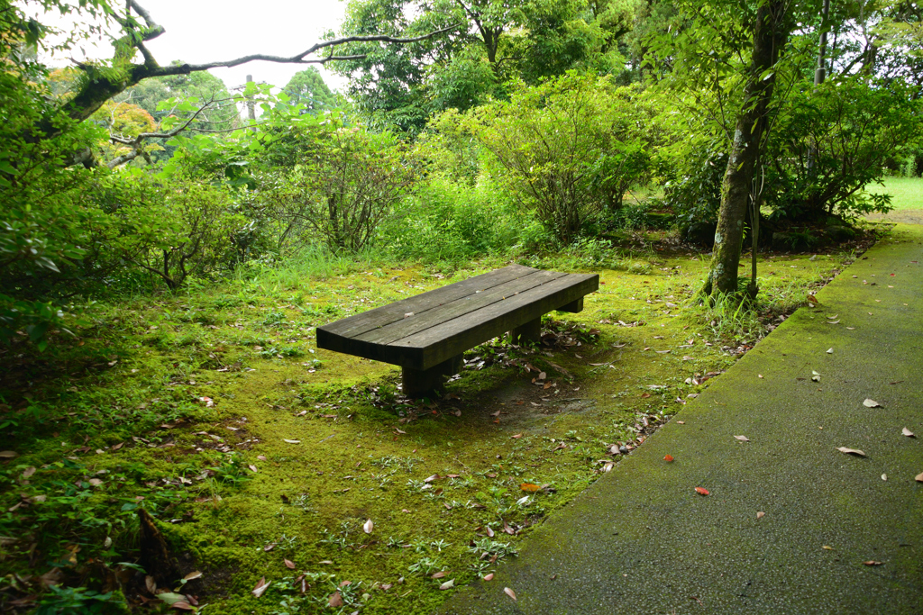 ベンチと苔の絨毯