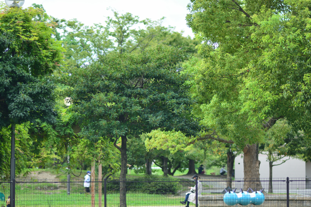 公園でそれぞれの時間