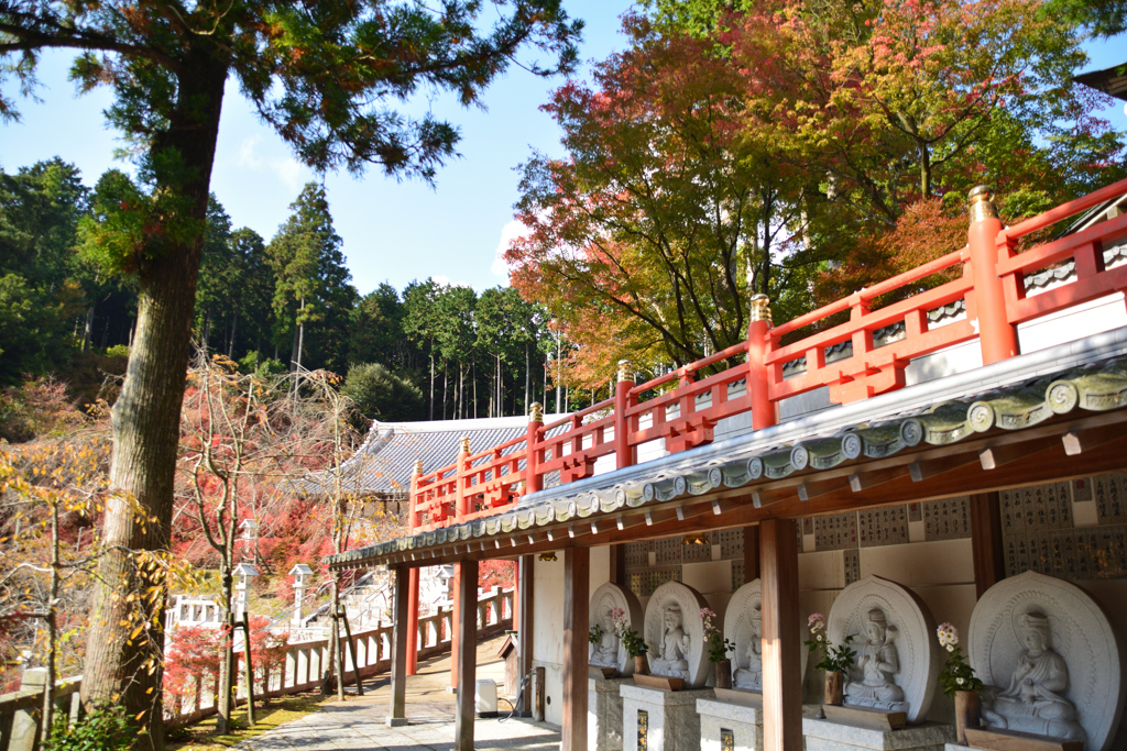 呑山観音寺本堂②