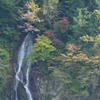 震動の滝 雌滝④