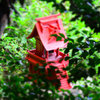 堂山 小さな祠