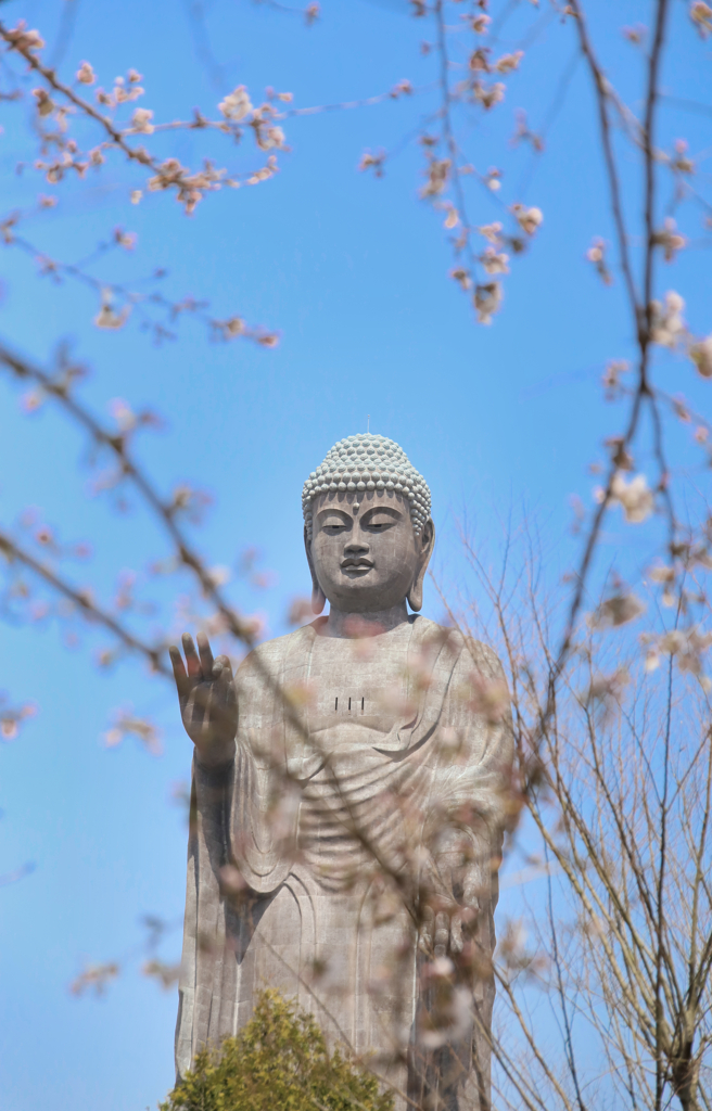 世界一大きな大仏様（牛久大仏）②