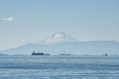 稲毛浜からの富士