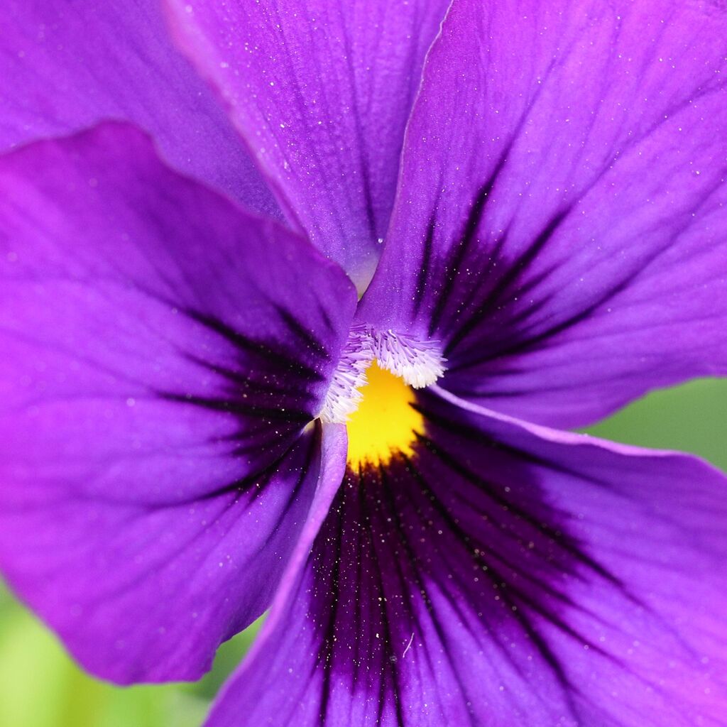あけぼの山農業公園①