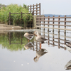 牛久沼水辺公園の鳥たち③