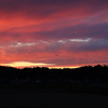 夕焼け②