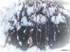 大雪