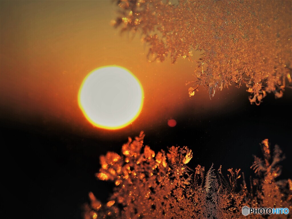 窓霜と朝陽