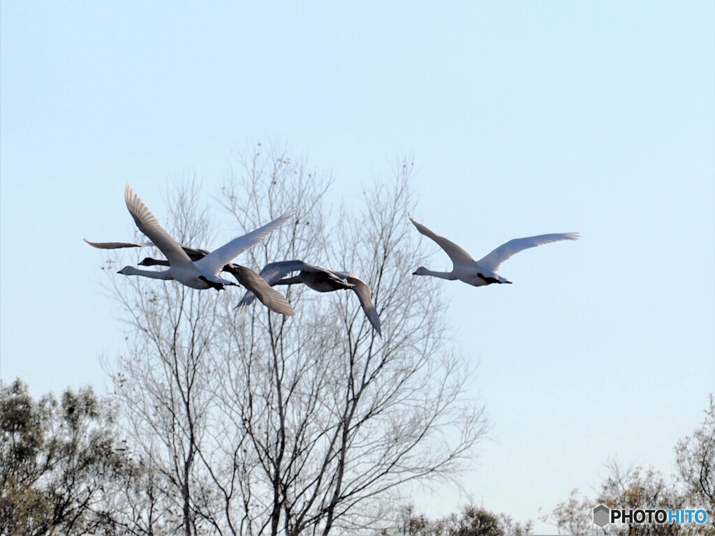 秋空へ