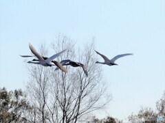 秋空へ