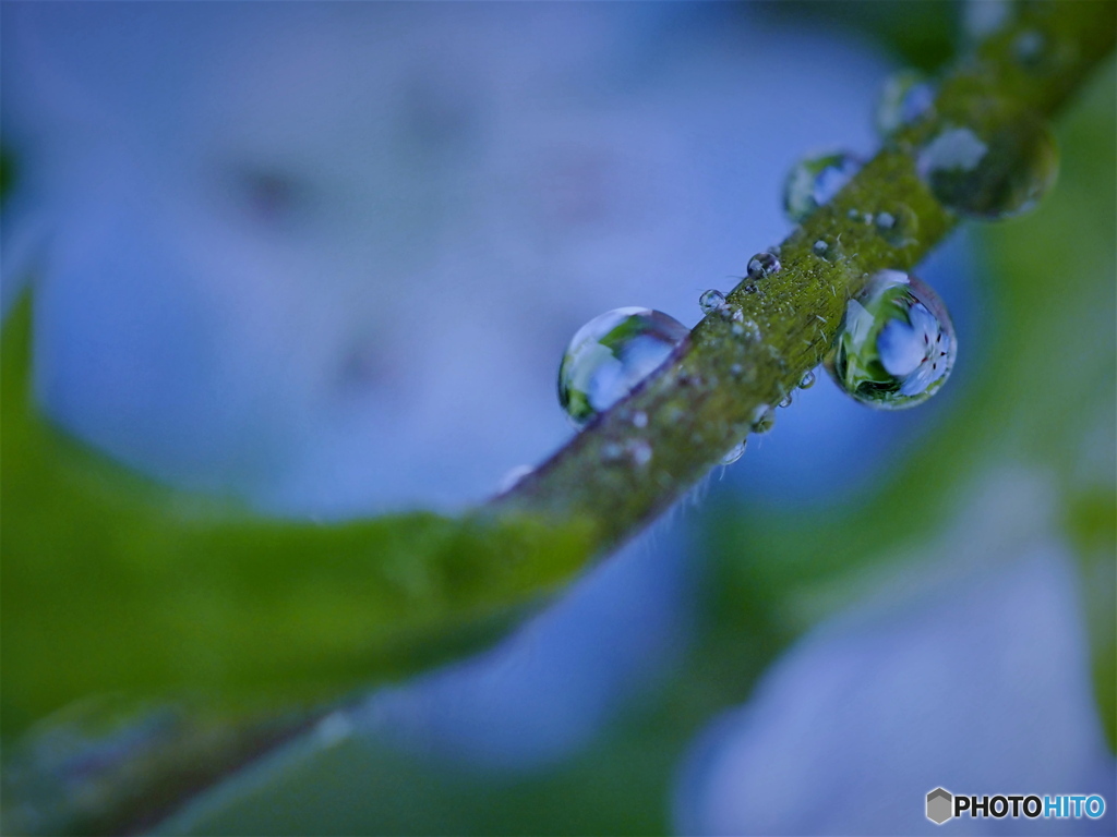 .雨の雫