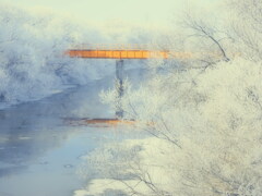 樹氷の朝