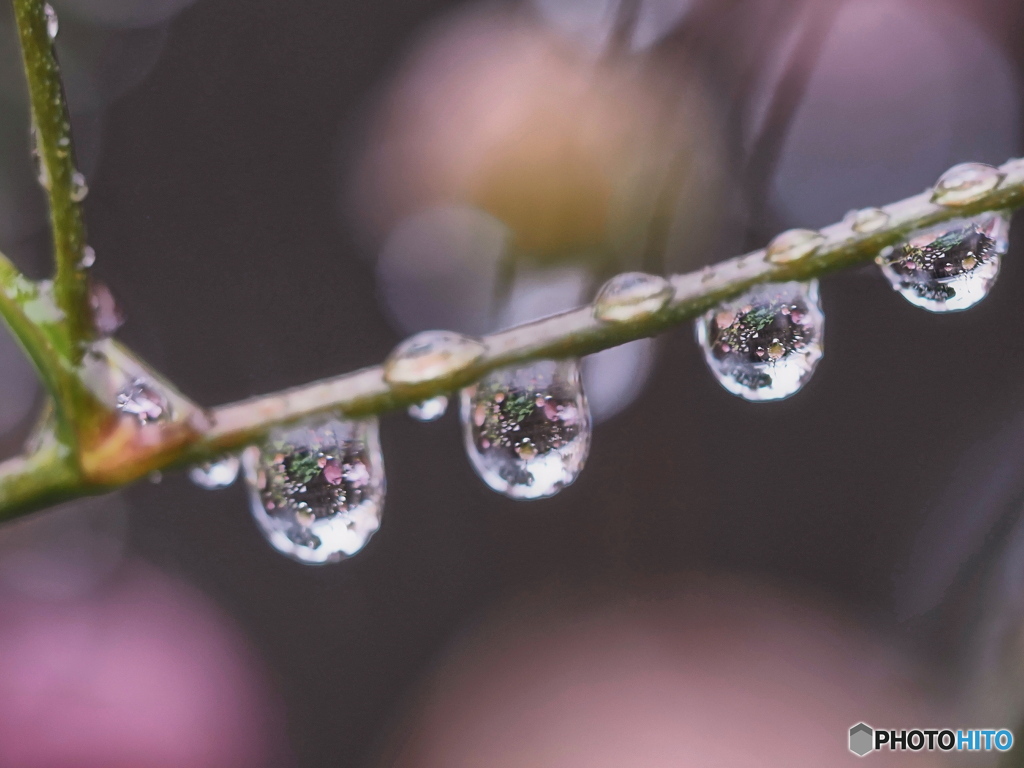 雨の滴☆