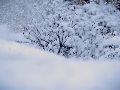 お雛祭りの日の大雪