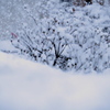 お雛祭りの日の大雪