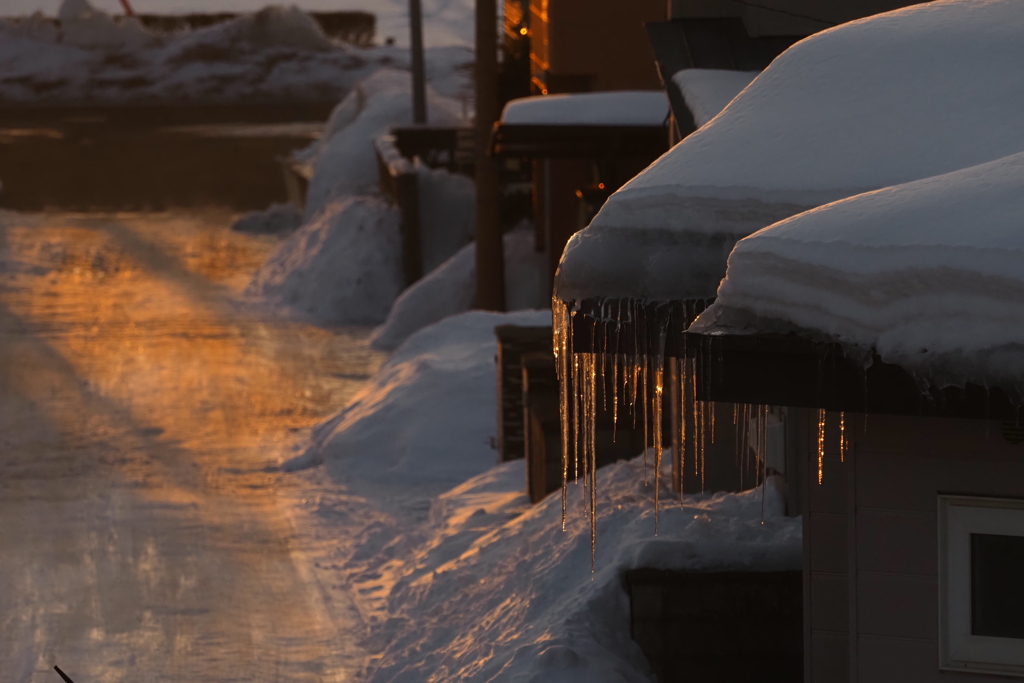 朝陽を浴びて。
