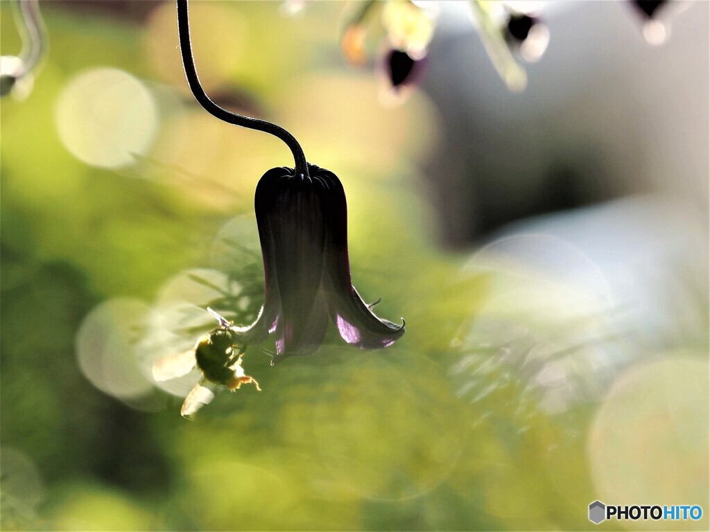 朝食タイム(*^^)v