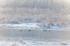 霧氷の彩☆