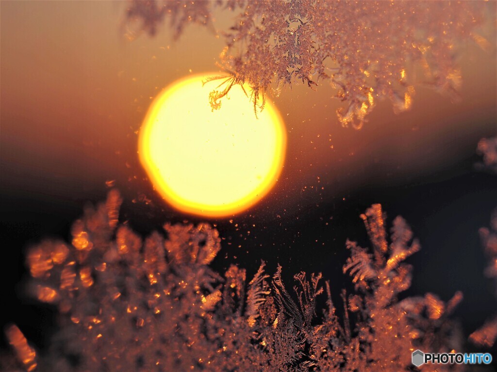 朝陽をあびて♪