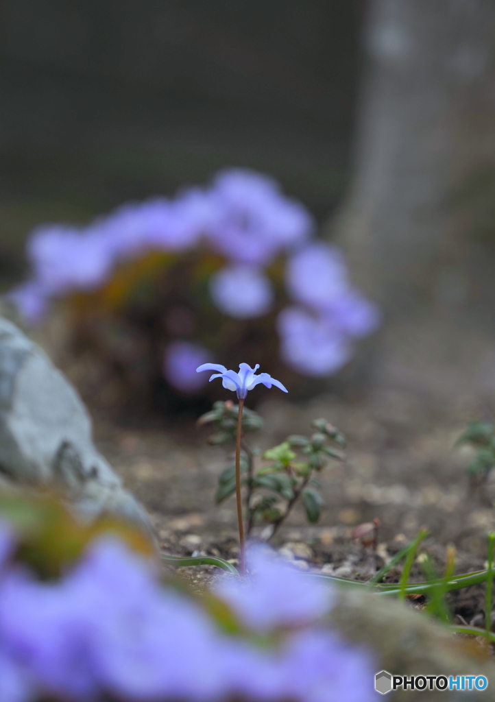 今日のヒロイン(^^♪