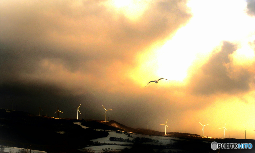 風力発電の丘