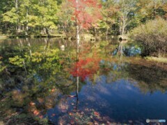 近郊の紅葉