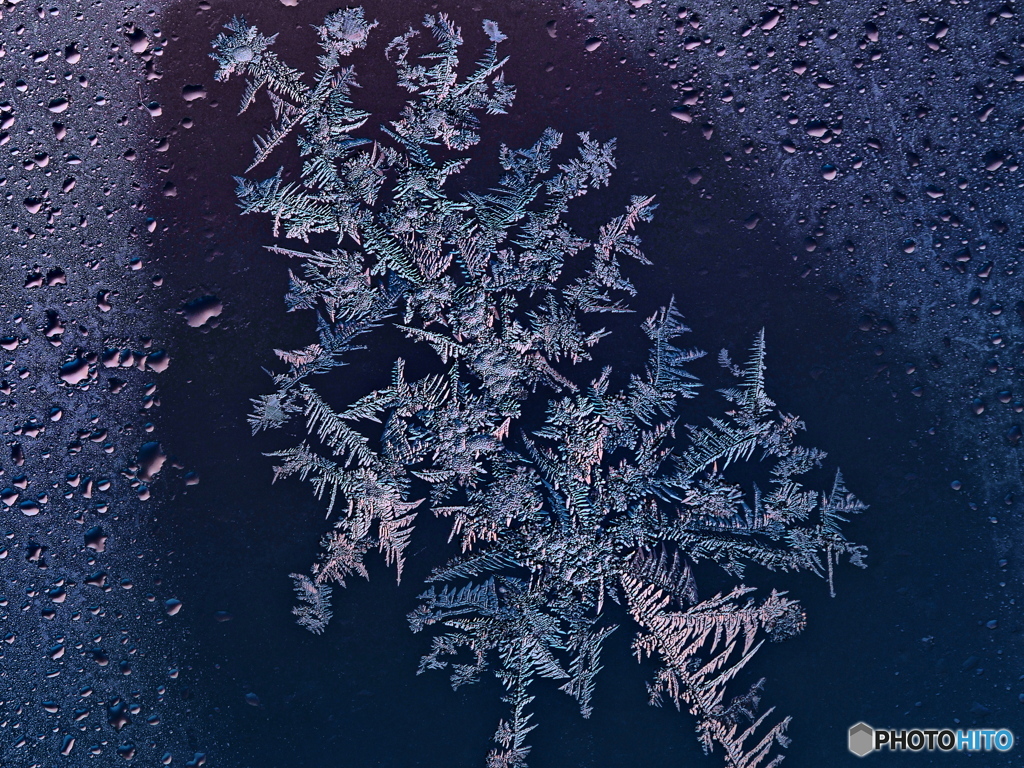 霜花~朝陽を浴びて(3)