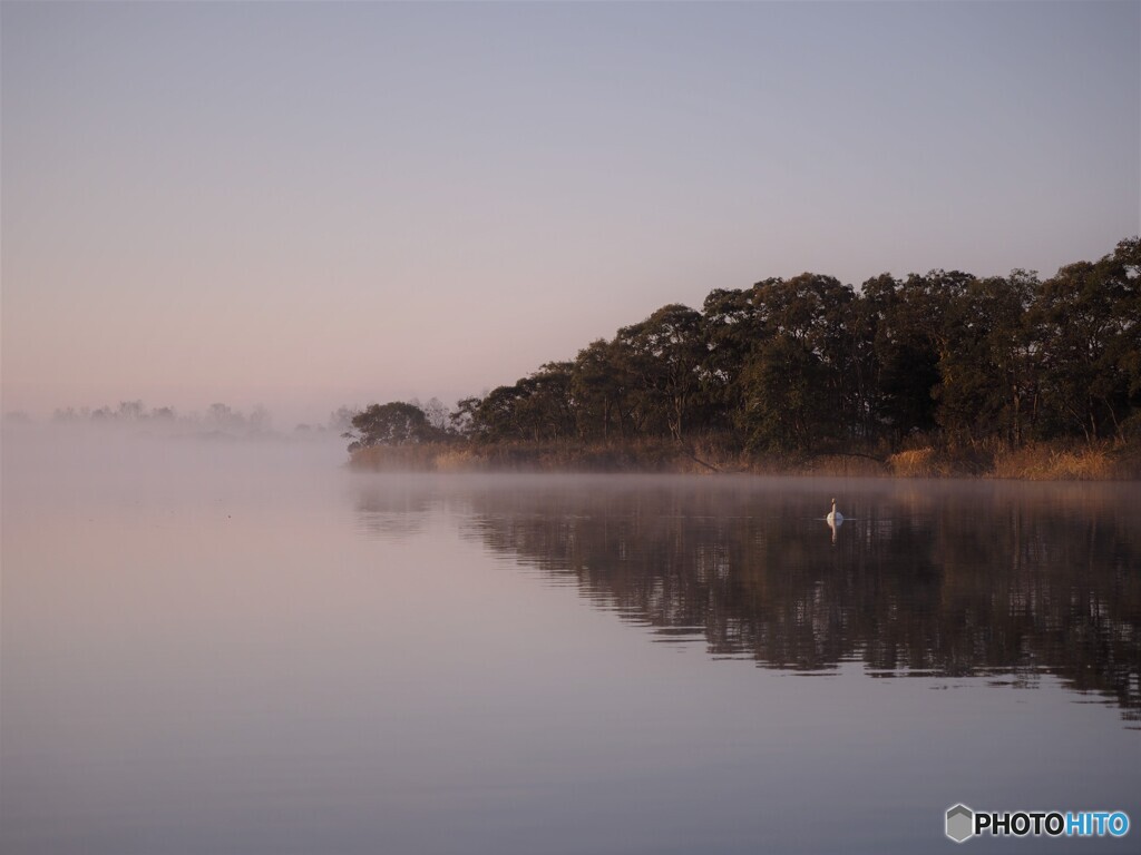 朝霧の湖