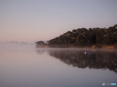 朝霧の湖
