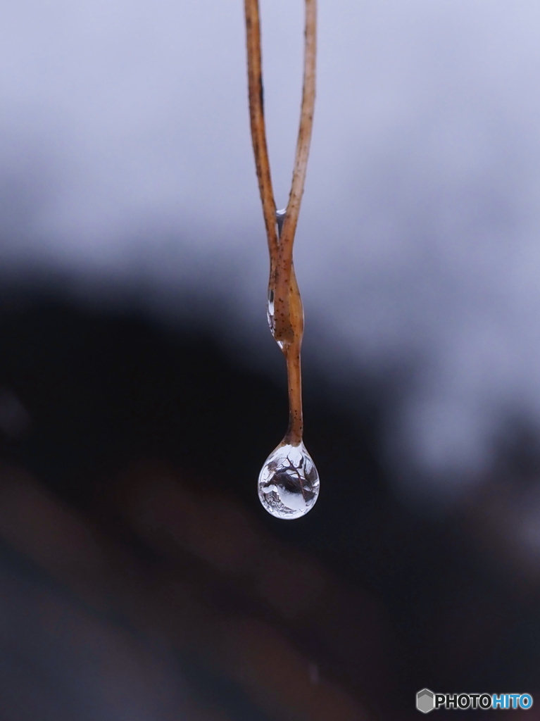 春雪のしずく☆