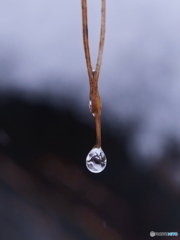 春雪のしずく☆