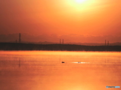 早春の湖.2