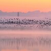 朝焼けの湖~塒立
