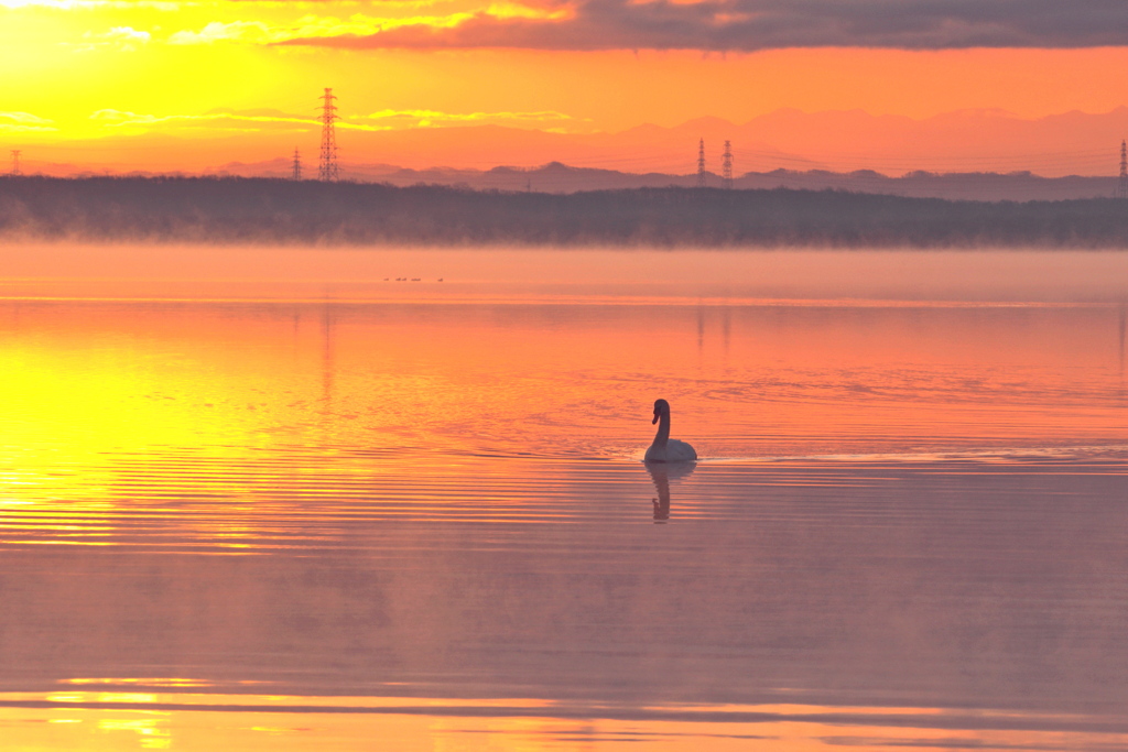 君がいた頃(*^-^*)