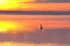 君がいた頃(*^-^*)